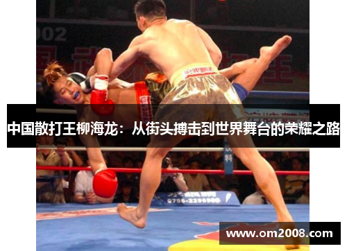 中国散打王柳海龙：从街头搏击到世界舞台的荣耀之路
