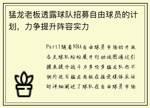 猛龙老板透露球队招募自由球员的计划，力争提升阵容实力